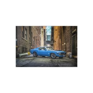 1970 Boss 429 Mustang Muscle Car Wall Art Poster 24x36in Gift