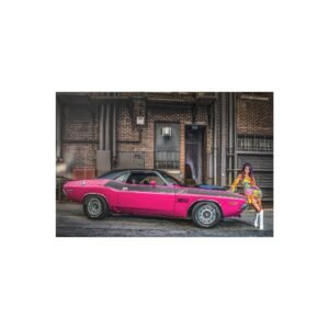 1970 Dodge Challenger T/A 340 Six Pack Panther Pink Muscle Car Wall Art Poster 24x36in Gift