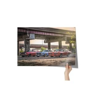 1969 Dodge Six Pack Super Bee, 1970 Boss 429 Ford Mustang, 1969 Pontiac Ram Air GTO Judge Wall Art Poster 24x36in Gift